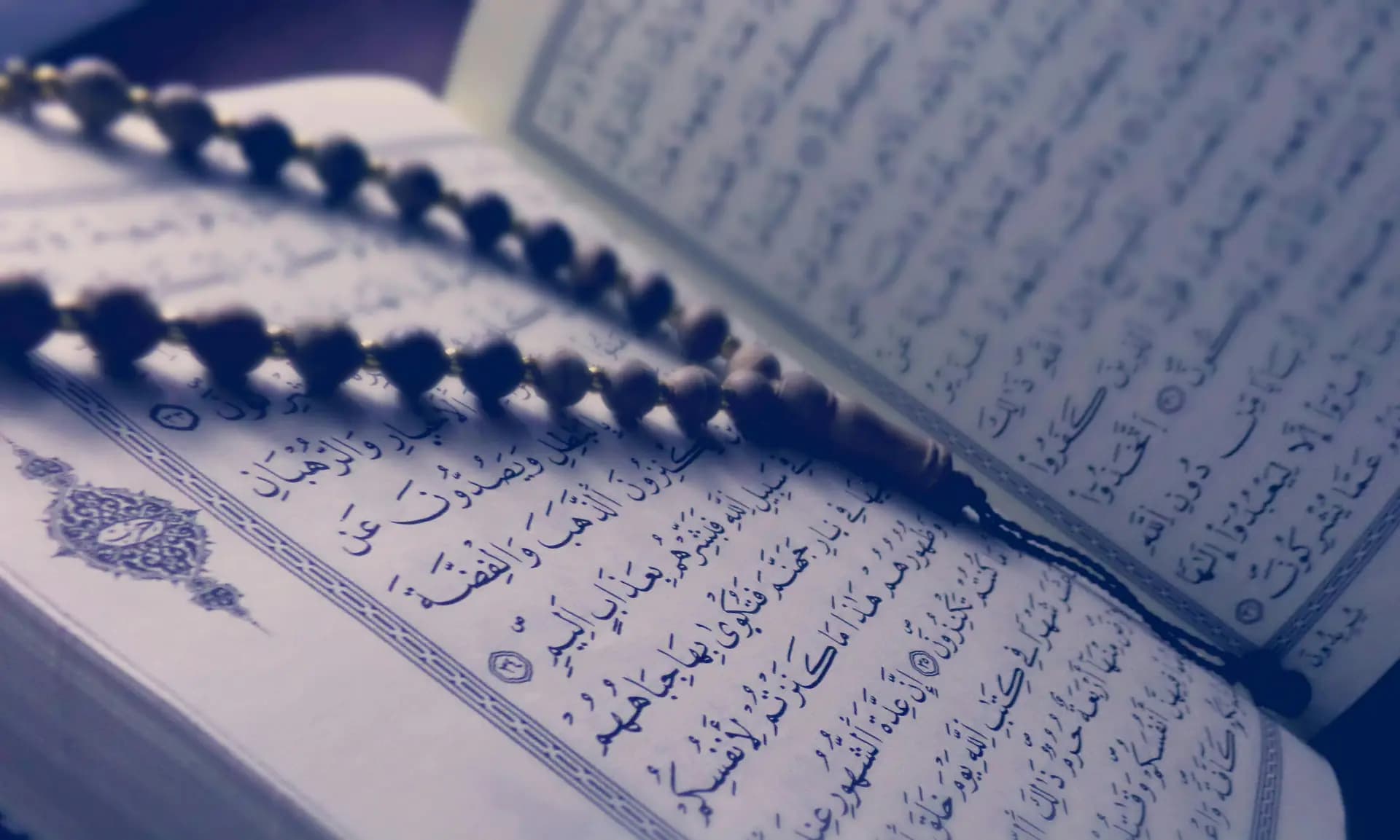 Arabic with Quran (Brothers)